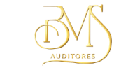 BMS AUDITORES - PROJETO 00.png